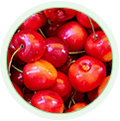 Cereza de Montmorency