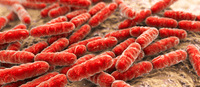 Apoya la salud gastrointestinal